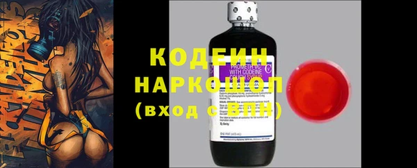 трава Богородицк
