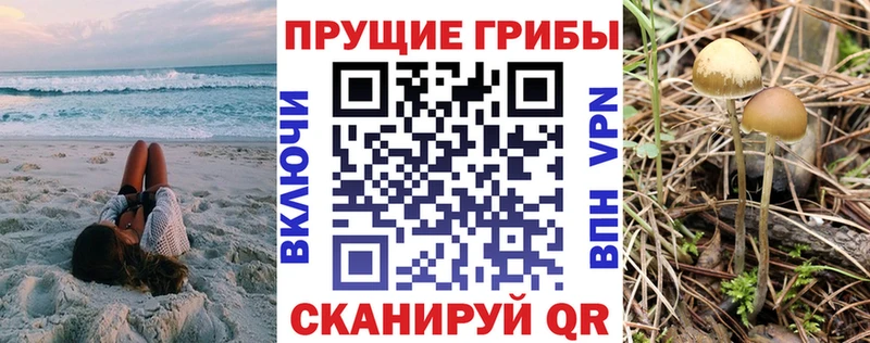 Галлюциногенные грибы мухоморы  hydra онион  Пестово 